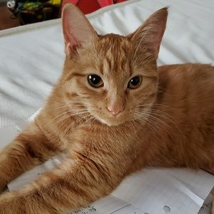 Meet your Posher, Emili